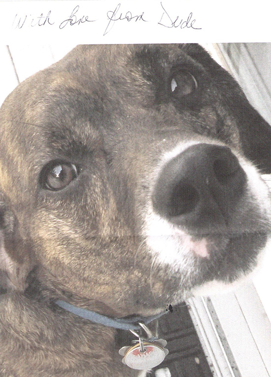 Information, Staten Island Veterinary Group, NY, New Jersey